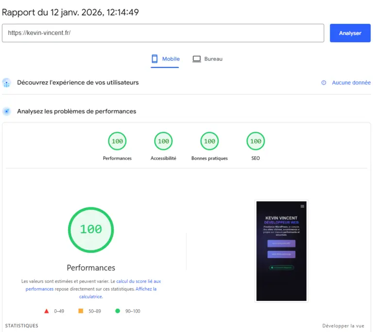 Résultat de test Google Speed Insight affichant 100/100 sur mobile